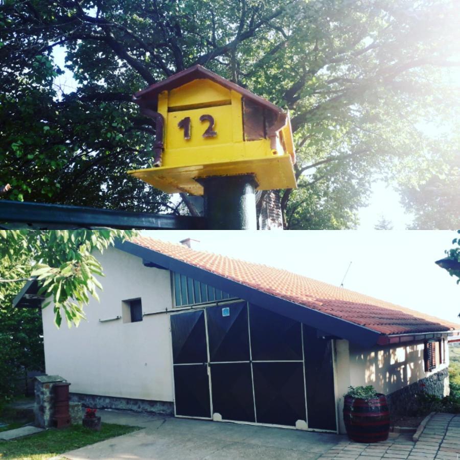 Apartment Noletov Vidikovac Vrdnik Εξωτερικό φωτογραφία