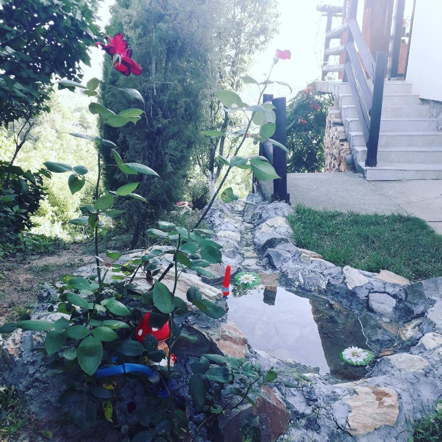 Apartment Noletov Vidikovac Vrdnik Εξωτερικό φωτογραφία