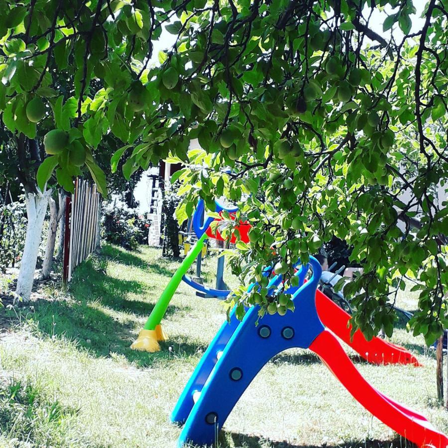 Apartment Noletov Vidikovac Vrdnik Εξωτερικό φωτογραφία