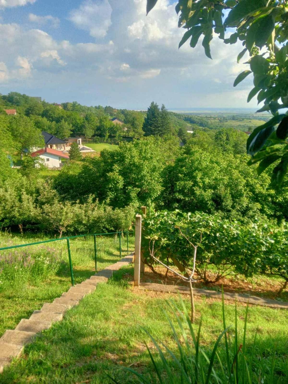Apartment Noletov Vidikovac Vrdnik Εξωτερικό φωτογραφία
