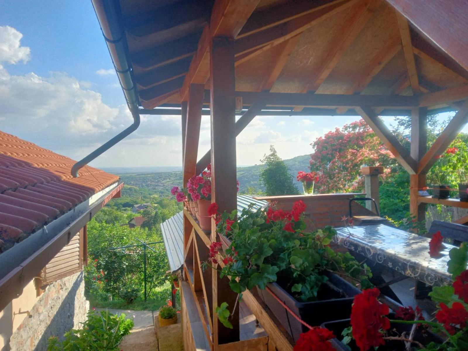 Apartment Noletov Vidikovac Vrdnik Εξωτερικό φωτογραφία
