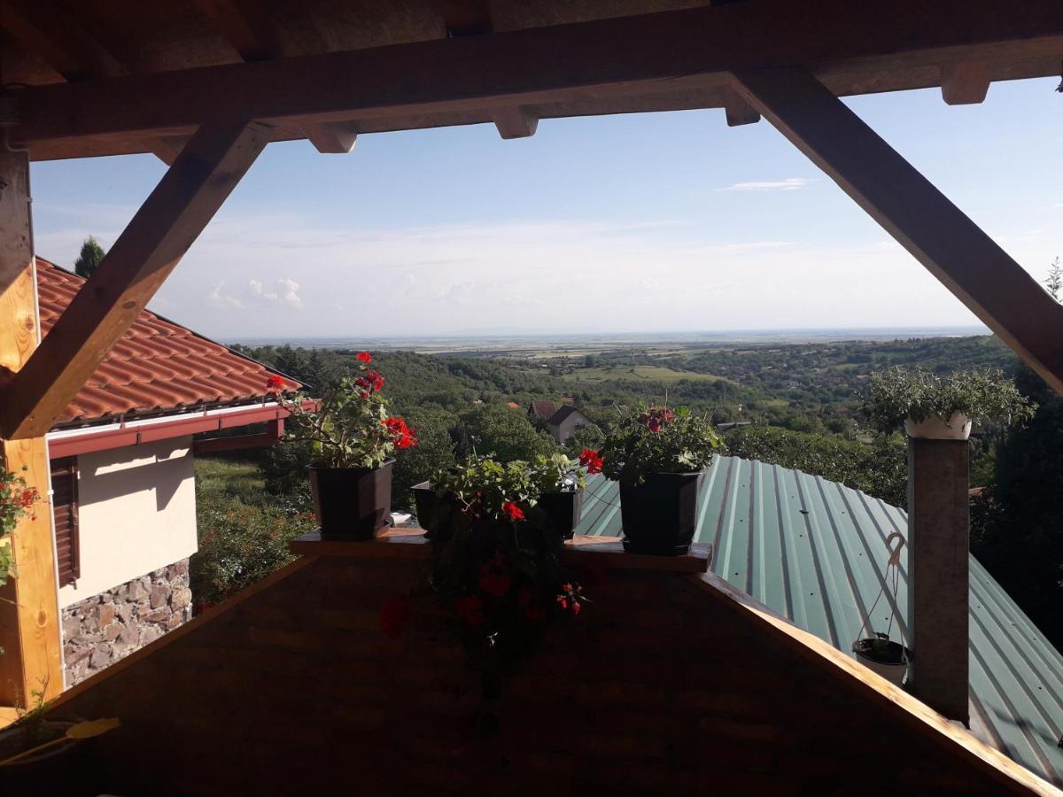 Apartment Noletov Vidikovac Vrdnik Εξωτερικό φωτογραφία