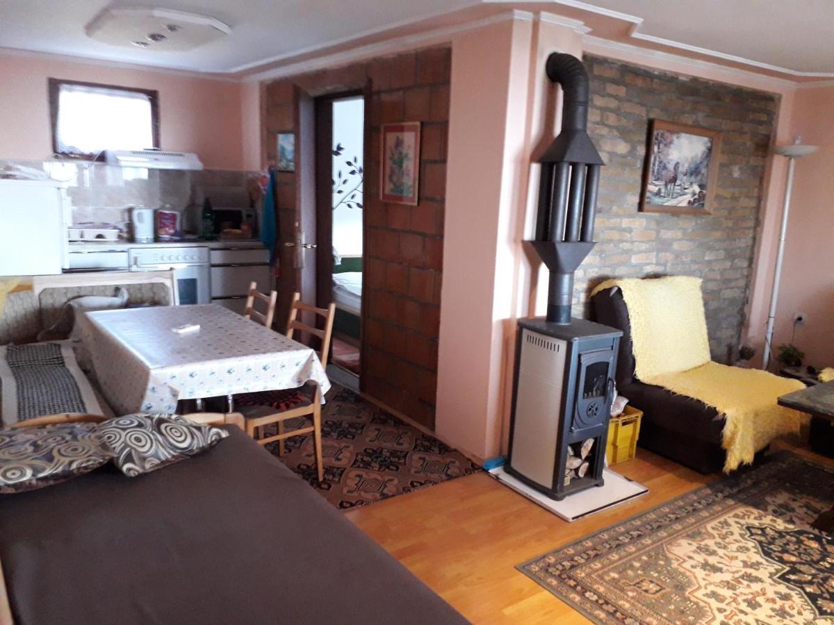 Apartment Noletov Vidikovac Vrdnik Εξωτερικό φωτογραφία